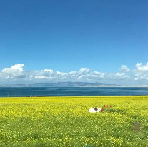 守望属于你我的一季风景,独享你我一段清宁美好的时光
