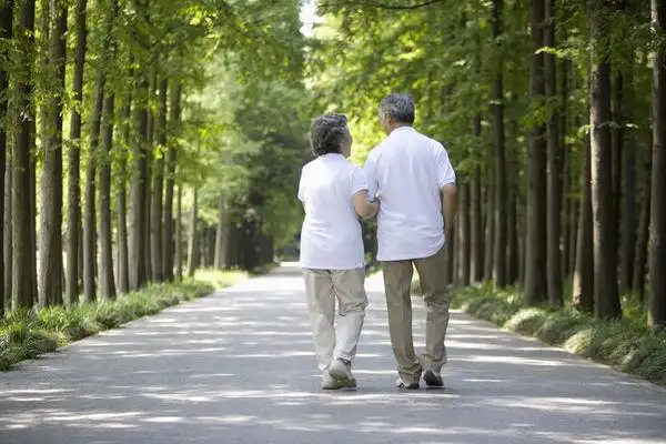求老夫妻牵手的背影照片
