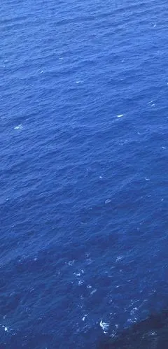 蓝色系的小米桌面嘿嘿