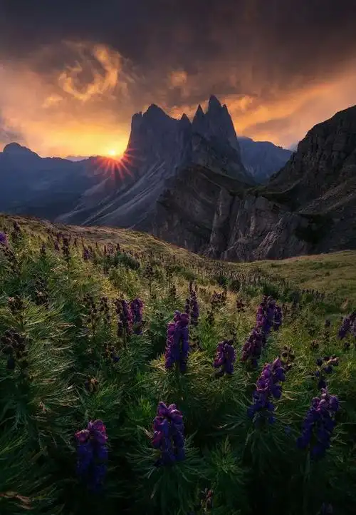 第八届国际年度风景摄影师大赛获奖作品