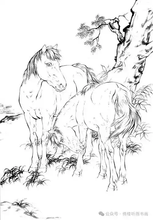 国画《骏马图》高清白描底稿15幅.