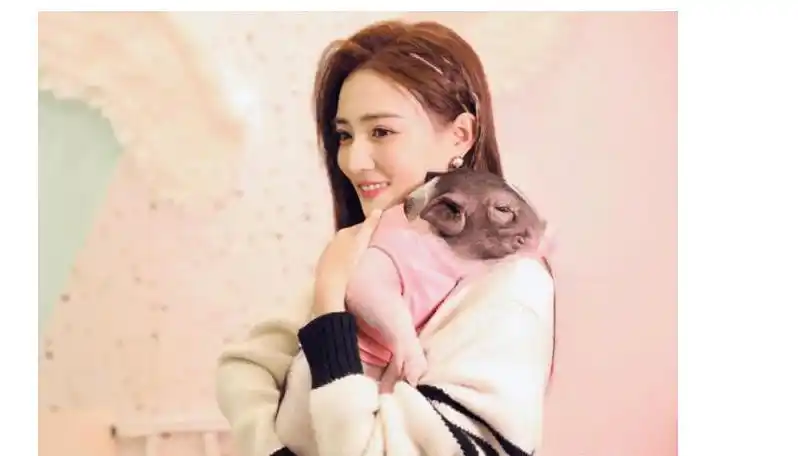 分手1年后,徐璐突然官宣,看清合照中的男子,粉丝:这次很般配_张翰