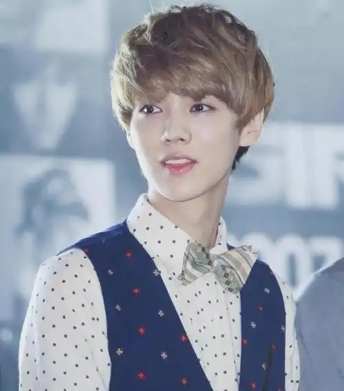 乐器|关晓彤|exo|娱乐圈|张艺兴_网易订阅