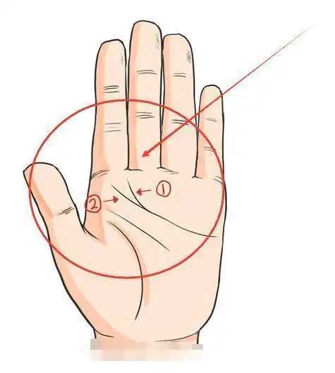 女人横财痣长哪里,女人的志长在哪里最好