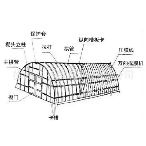 低价供应温室大棚,散养鸡大棚,蔬菜大棚