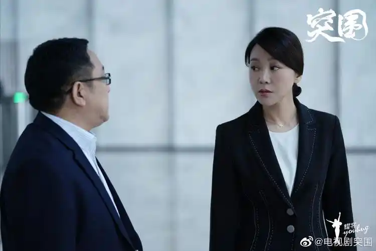 如何评价由靳东陈晓闫妮主演的电视剧突围