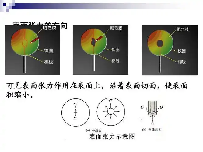 表面张力的方向 可见表面张力作用在表面上,沿着表面切面,使表面 积