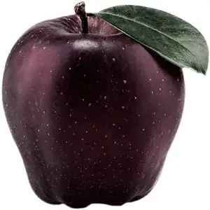 云南昭通现摘黑卡黑苹果水果5斤礼盒装