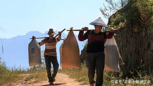 扁担挑东西,绳子长省力!