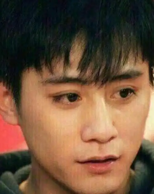 年轻时谁还不是大帅哥沙溢沈腾已够帅霍建华才是百年一遇