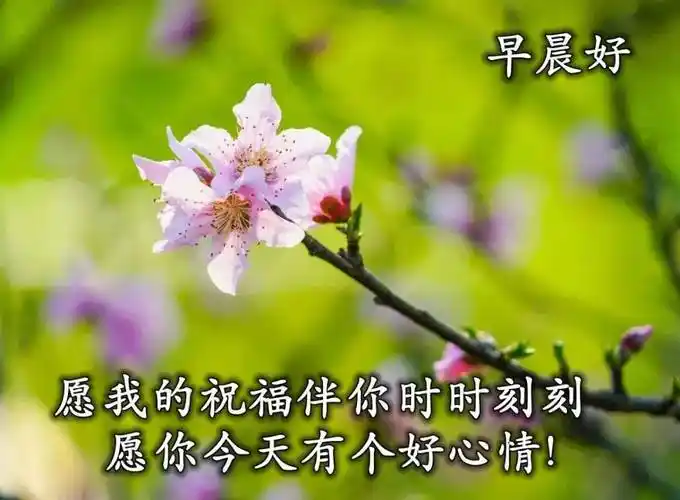 原创8张夏天最新漂亮风景早安图片带字带祝福语最美夏日风景早上好