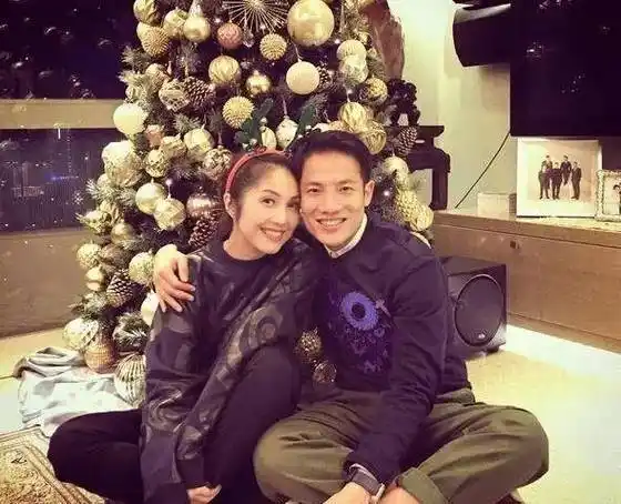 与陈奕迅有缘无分的杨千嬅,为何选择不被看好的丁子高?