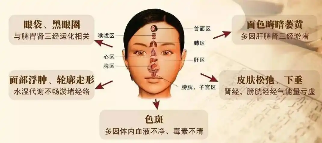 脸上的经络一通,脸部新陈代谢提高,90%皮肤问题都能破解.