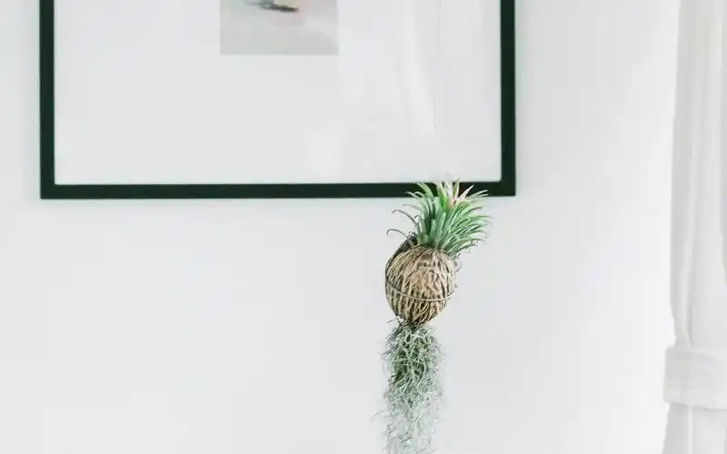 小清新文艺范图片 唯美意境文艺图片