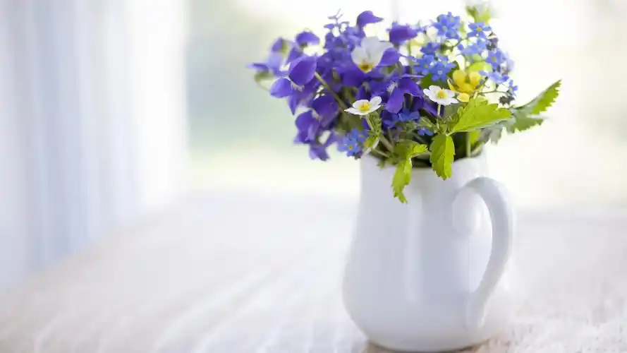 小清新花卉简约风格家居电脑壁纸