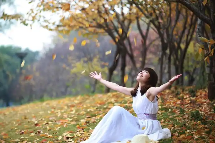 梦中的落叶朗诵小字作者烟雨苍茫
