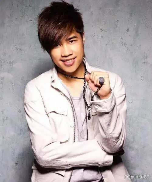 还记得十几年前,可以说周杰伦 王力宏 潘玮柏 陶喆 罗志祥 孙燕姿 she