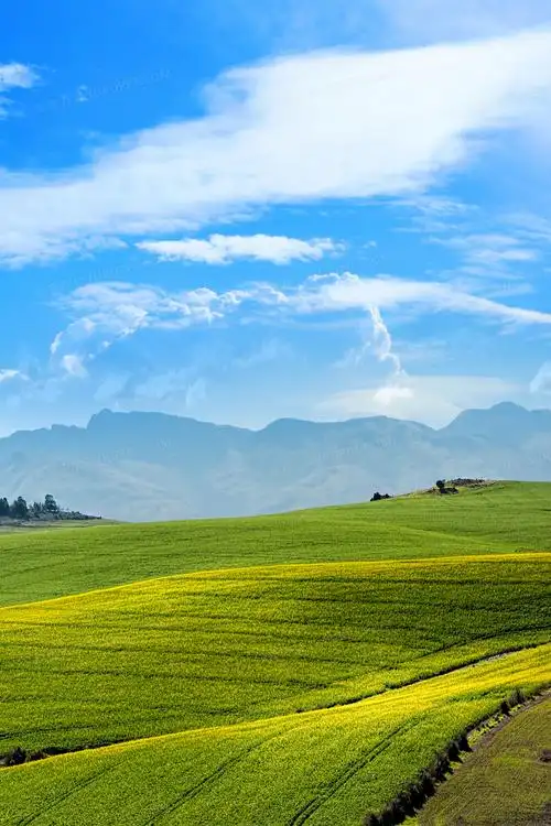 简约大气摄影合成天空蓝天白云草地草原海报背景