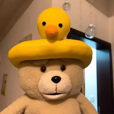 ins小熊头像图片高清很火的小熊头像图片