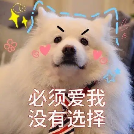 萌宠汪星人必须爱我没有选择可爱呆萌gif动图_动态图_表情包下载_soo