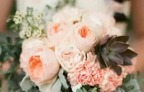 杨洋个人资料,杨洋的星盘解析