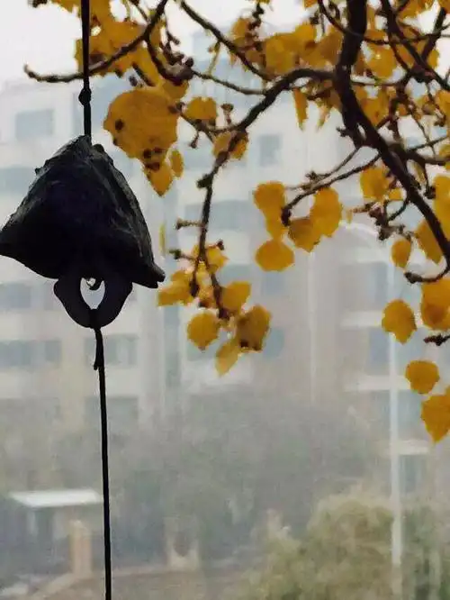 雨中风铃