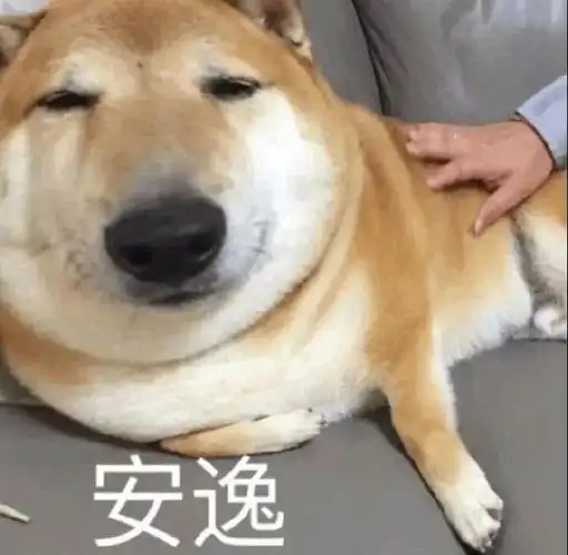 斗图表情包:扫黄统统抱头蹲下 拿图请顺便吱一声 很难有动力发图了