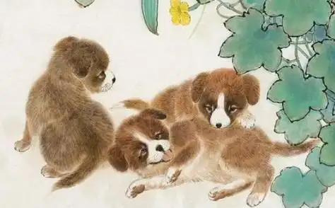 94年男生肖狗配什么生肖,94年生肖狗男和什么生肖女最配