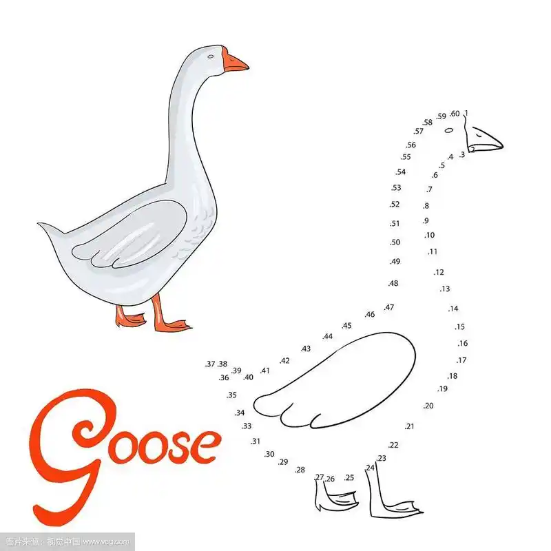 教育游戏连点画鹅鸟