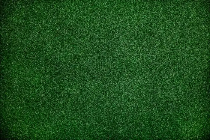 深绿色草地背景图片
