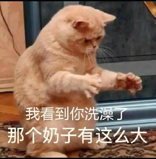 表情包 - 表情图