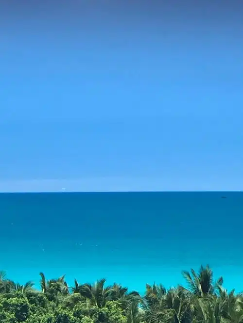 向往的大海蓝天,永远不能放弃飞翔的翅膀.