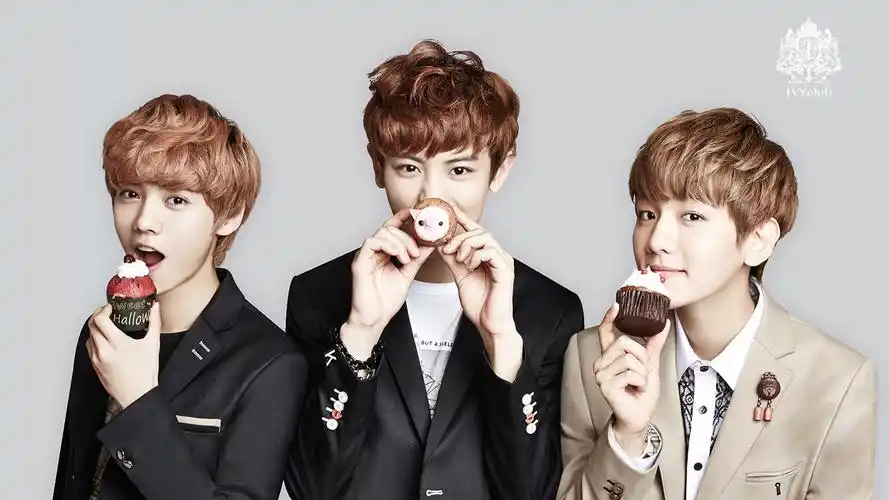 exo朴灿烈边伯贤鹿晗桌面壁纸壁纸