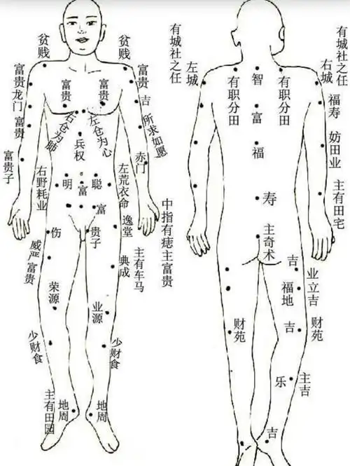 痣的位置图(女人右肩痣的位置图)