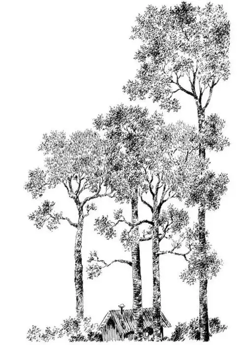 给他一支钢笔他还给你一片小树林