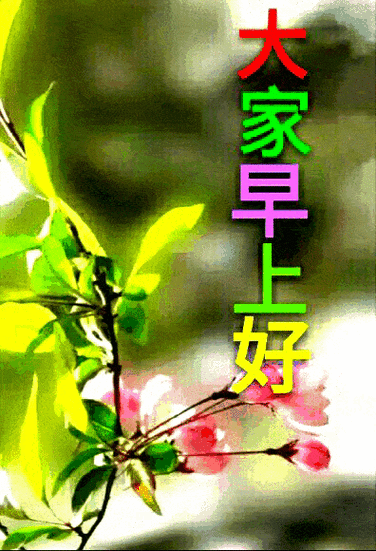 原创非常漂亮的早安动态表情图片早上好发朋友圈动态祝福图片大全