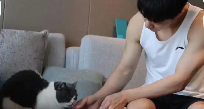 肖战顺毛白背心##嫁人当嫁肖春生##肖战