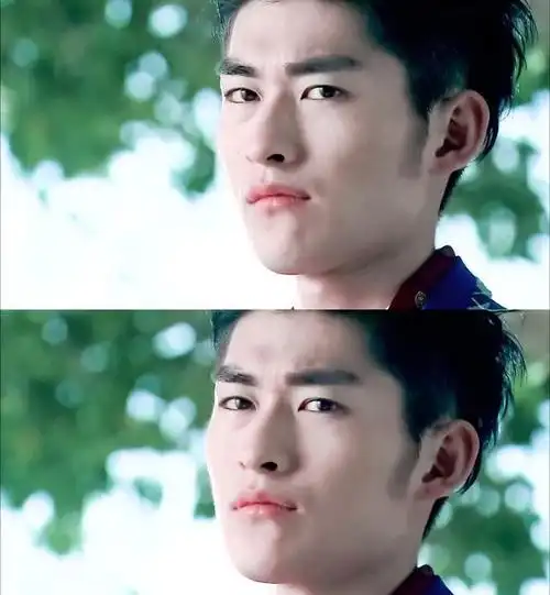 "红气养人,糊气磨人",40岁断崖老去的张翰,眼里都没光了