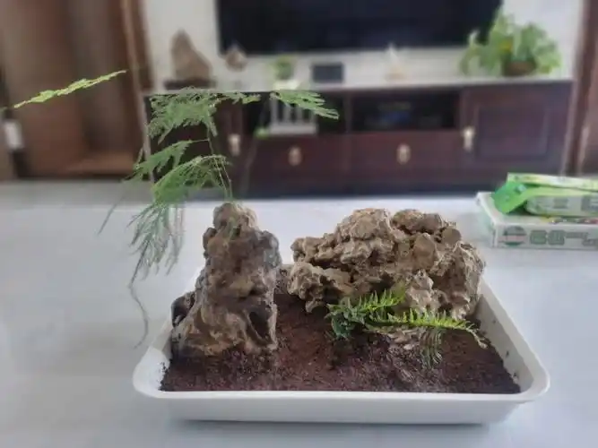 自制假山微景观