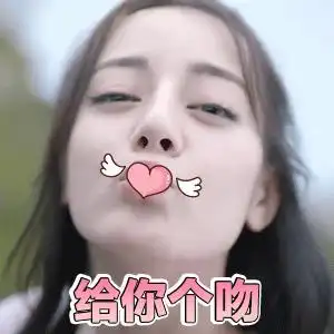 给你个大嘴巴子金馆长熊猫手掌gif动图_动态图_表情包下载_soogif