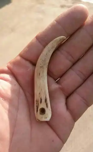 如何分辨真假虎牙