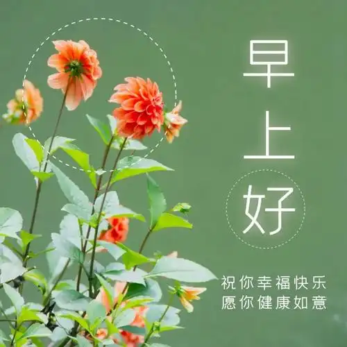 早安语录适合发朋友圈早安的句子早安问候祝福语