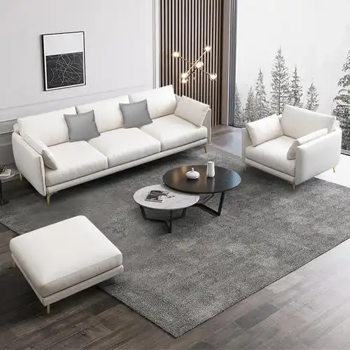 北欧科技布艺沙发客厅小户型直排简约现代新款2021转角科技布