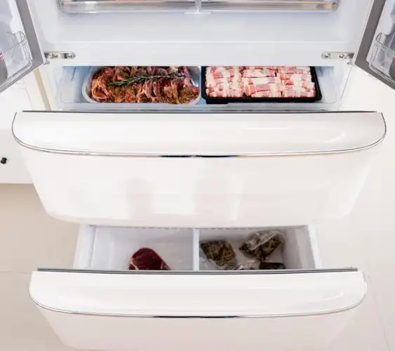 复古潮电与科技的碰撞,小吉448升智能冰箱入户新居初体验