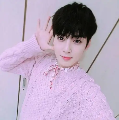 微信头像车银优