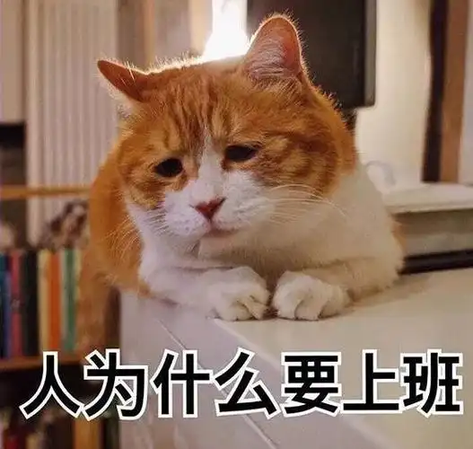 上一个看到这套吐槽工作表情包的人已经被boss拿去祭天了