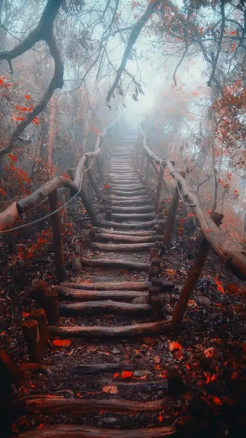 〈风景壁纸〉很有意境的一组图 山光悦鸟性,潭影空人心