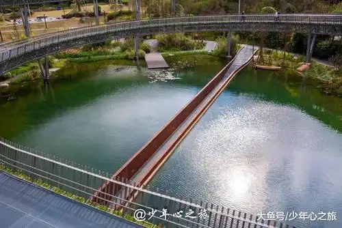 "水中"行走却不湿身, 探秘福建省内唯一水中栈道