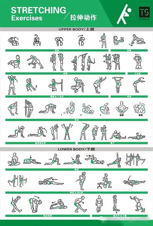 2,stretching exercises 拉伸动作合集1,foam roller exercises 泡沫