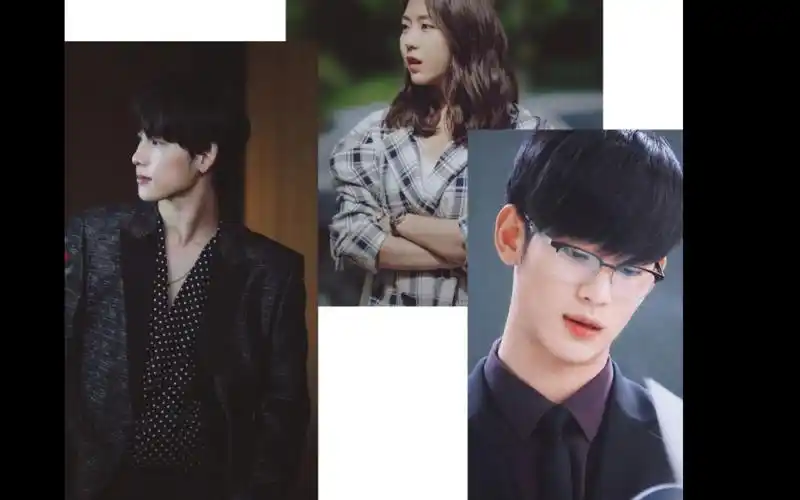 第一夜的蔷薇|明晓溪著